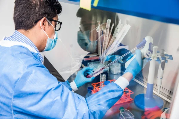 Young scientist working in a safety laminar air flow cabinet — Stock Photo, Image