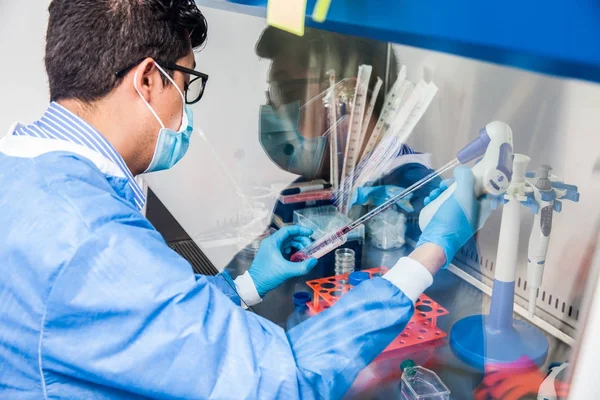 Jovem cientista trabalhando em um armário de fluxo de ar laminar de segurança — Fotografia de Stock