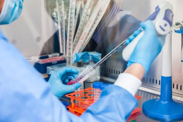 Junge Wissenschaftlerin arbeitet in einem Sicherheitslaminar-Luftstromschrank — Stockfoto