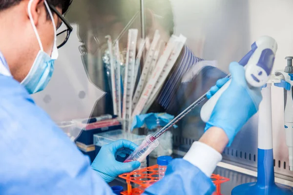 Junge Wissenschaftlerin arbeitet in einem Sicherheitslaminar-Luftstromschrank — Stockfoto