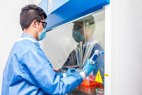 Jovem cientista trabalhando em um armário de fluxo de ar laminar de segurança — Fotografia de Stock