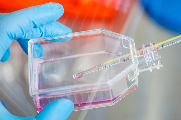 Scientist working with a cell culture flask — Stock Photo, Image