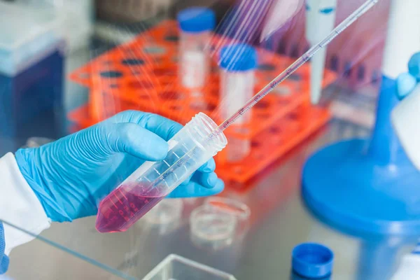 Cientista trabalhando com um tubo de falcão sob capa estéril — Fotografia de Stock