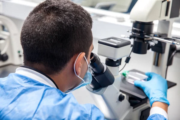 Manliga forskare tittar på cellkultur under lupp — Stockfoto