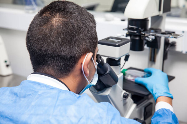 Ученый-мужчина рассматривает культуру клеток под микроскопом
