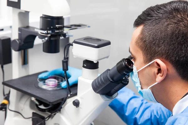 Male scientist looking at cell culture under the microscope