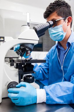 Male scientist looking at slides under the microscope clipart