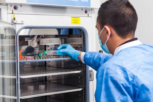 Forskare att införa en cell kultur kolv i en inkubator — Stockfoto