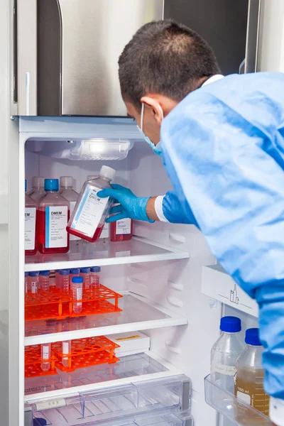Manliga forskare och laboratorium kylskåp — Stockfoto