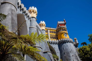 Pena Sarayı Portekiz 'in Sintra belediyesinde yer almaktadır.