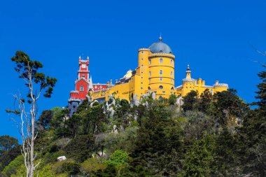 Pena Sarayı Sintra belediyesindeki Pena Park Bahçeleri 'nden görüldü.