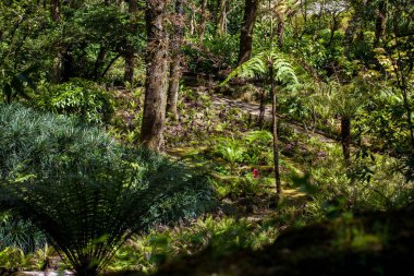 Sintra belediyesindeki Pena Park bahçesinde erken bir bahar günü