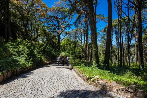 Um dia de primavera nos jardins do Parque da Pena no município de Sintra — Fotografia de Stock