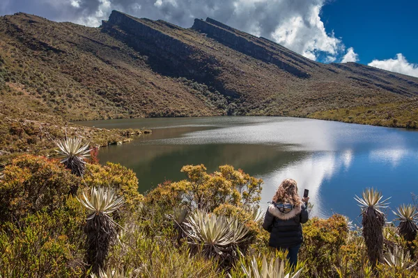 Mujer joven explorando la naturaleza de un hermoso paramo en el departamento de Cundinamarca en Colombia — Foto de Stock