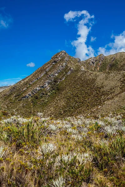 Hermoso paisaje de montañas andinas colombianas mostrando vegetación tipo paramo en el departamento de Cundinamarca — Foto de Stock