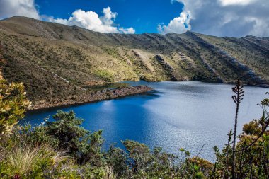 Kolombiya And Dağları 'nın güzel manzarası Cundinamarca Bölümü' ndeki Paramo tipi bitkileri gösteriyor.