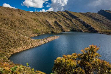 Kolombiya And Dağları 'nın güzel manzarası Cundinamarca Bölümü' ndeki Paramo tipi bitkileri gösteriyor.