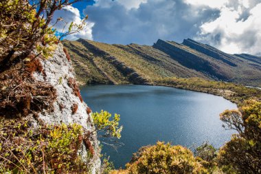 Kolombiya And Dağları 'nın güzel manzarası Cundinamarca Bölümü' ndeki Paramo tipi bitkileri gösteriyor.