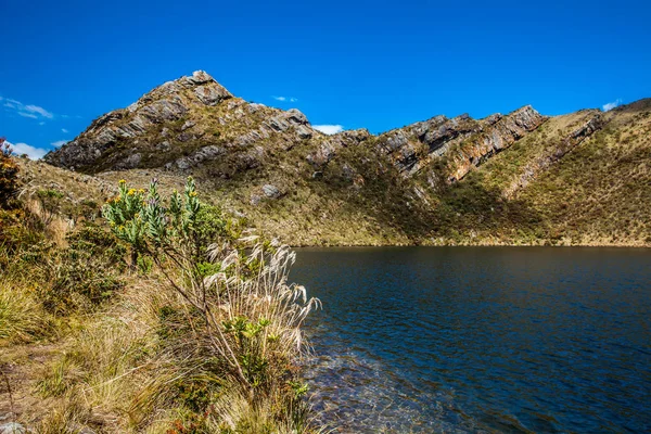 Vackert landskap av colombianska Andiska bergen visar paramo typ vegetation i departementet Cundinamarca — Stockfoto