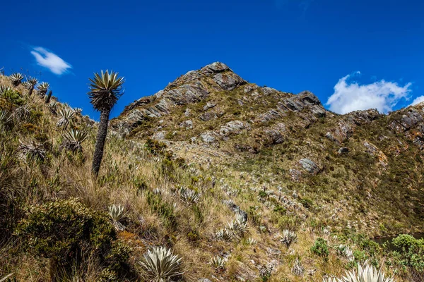 Hermoso paisaje de montañas andinas colombianas mostrando vegetación tipo paramo en el departamento de Cundinamarca — Foto de Stock