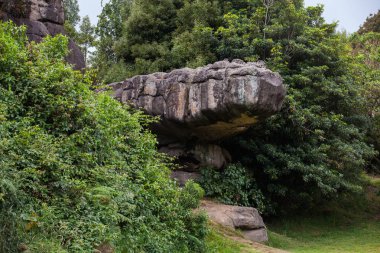 Facatativa belediyesindeki Piedras del Tunjo Arkeoloji Parkı 'nda dev kayalık oluşumlar