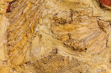 Klasik duvar arkaplan dokusu - Tasarım ögesi