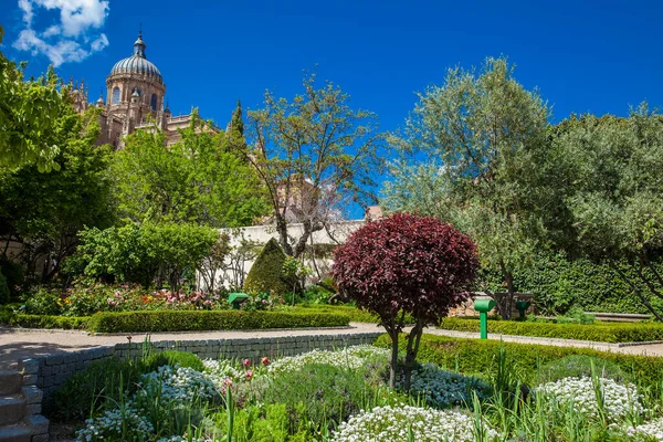 View of the Huerto de Calisto y Melibea a beautiful garden located in the old town and the Salamanca Cathedral — Stock Photo, Image