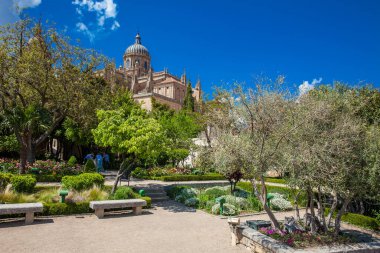 Huerto de Calisto y Melibea 'nın manzarası. Eski kasaba ve Salamanca Katedrali' ndeki güzel bir bahçe.