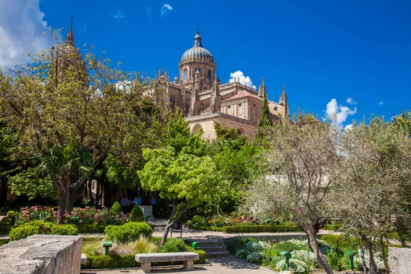 Huerto de Calisto y Melibea 'nın manzarası. Eski kasaba ve Salamanca Katedrali' ndeki güzel bir bahçe.