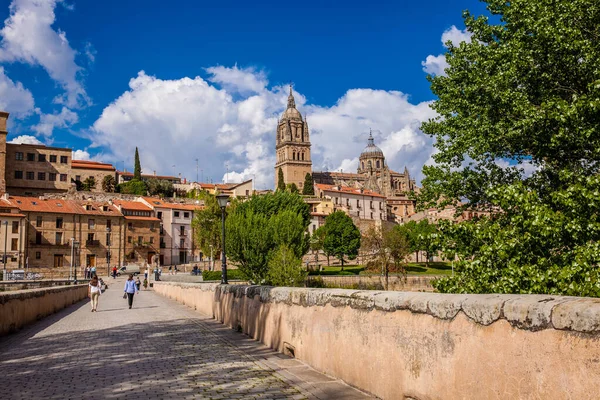 Utsikt över den gamla staden och katedralen i Salamanca sett från den historiska romerska bron även känd som Puente Mayor del Tormes — Stockfoto