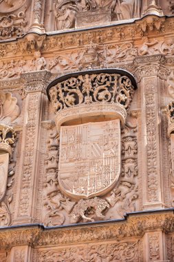 Salamanca Üniversitesi 'nin tarihi binasının güzel cephesinin ayrıntıları