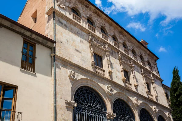 Fachada Del Histórico Palacio Salina Estilo Plateresco Con Elementos Italianos — Foto de Stock