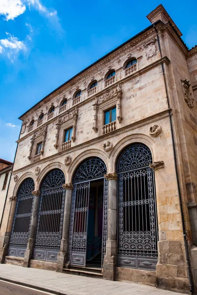 Fachada Del Histórico Palacio Salina Estilo Plateresco Con Elementos Italianos — Foto de Stock