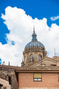 Tarihi Salamanca Katedrali 'nin Kubbesi