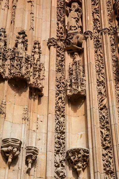 Dettaglio Delle Bellissime Incisioni Sulla Facciata Della Storica Cattedrale Salmanca — Foto Stock