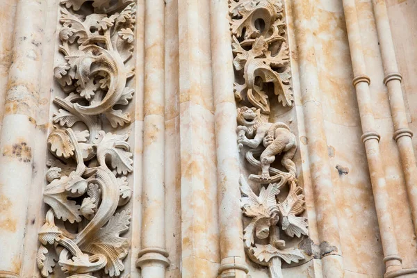 Drago Mangia Gelato Scolpito Sulla Facciata Della Storica Cattedrale Salmanca — Foto Stock