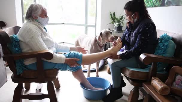 Husdjuret hjälper pedikuristen att göra en pedikyr till en äldre kvinna hemma under Covid-19 pandemi bär ansiktsmask Stockfilm