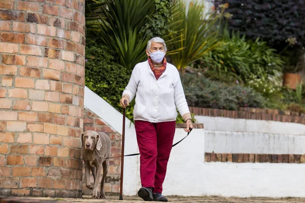 Seniorin Mit Selbstgebasteltem Mundschutz Und Einem Kurzen Spaziergang Mit Ihrem lizenzfreie Stockfotos