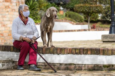 Senior woman wearing a home made face mask and enjoying some time outdoors with her pet during the coronavirus quarantine de-escalation clipart