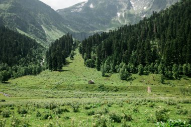 Rusya'da bir doğa rezerv dağlarda eski terk edilmiş evde