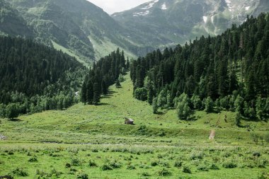 Rusya'da bir doğa rezerv dağlarda eski terk edilmiş evde