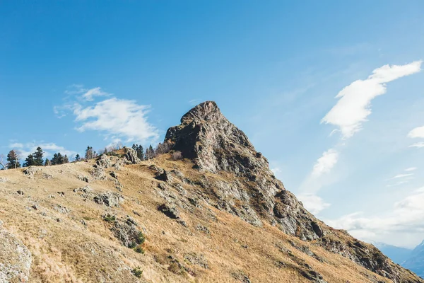 Atlar Kafkasya'da yedekte sürüsü — Stok fotoğraf