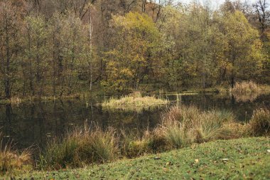 Sonbaharda dağlarda eski gölet