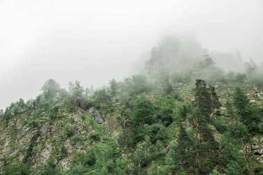 Sisin içindeki güzel dağ manzarası