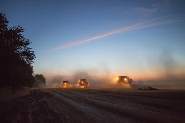 Betakarítás Búza Farm Aratógép — Stock Fotó