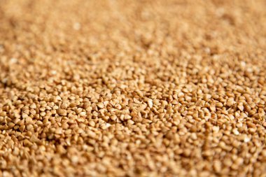 Karabuğday arka planı, sığ alan derinliği, bulanık arkaplan. Konsept - covid-19 salgınından önceki hisse senetleri