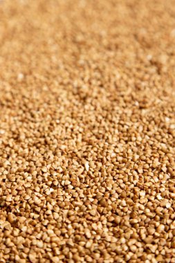 Karabuğday arka planı, sığ alan derinliği, bulanık arkaplan. Konsept - covid-19 salgınından önceki hisse senetleri