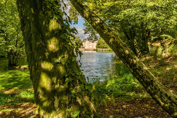 Castello e lago di Nieul — Foto Stock
