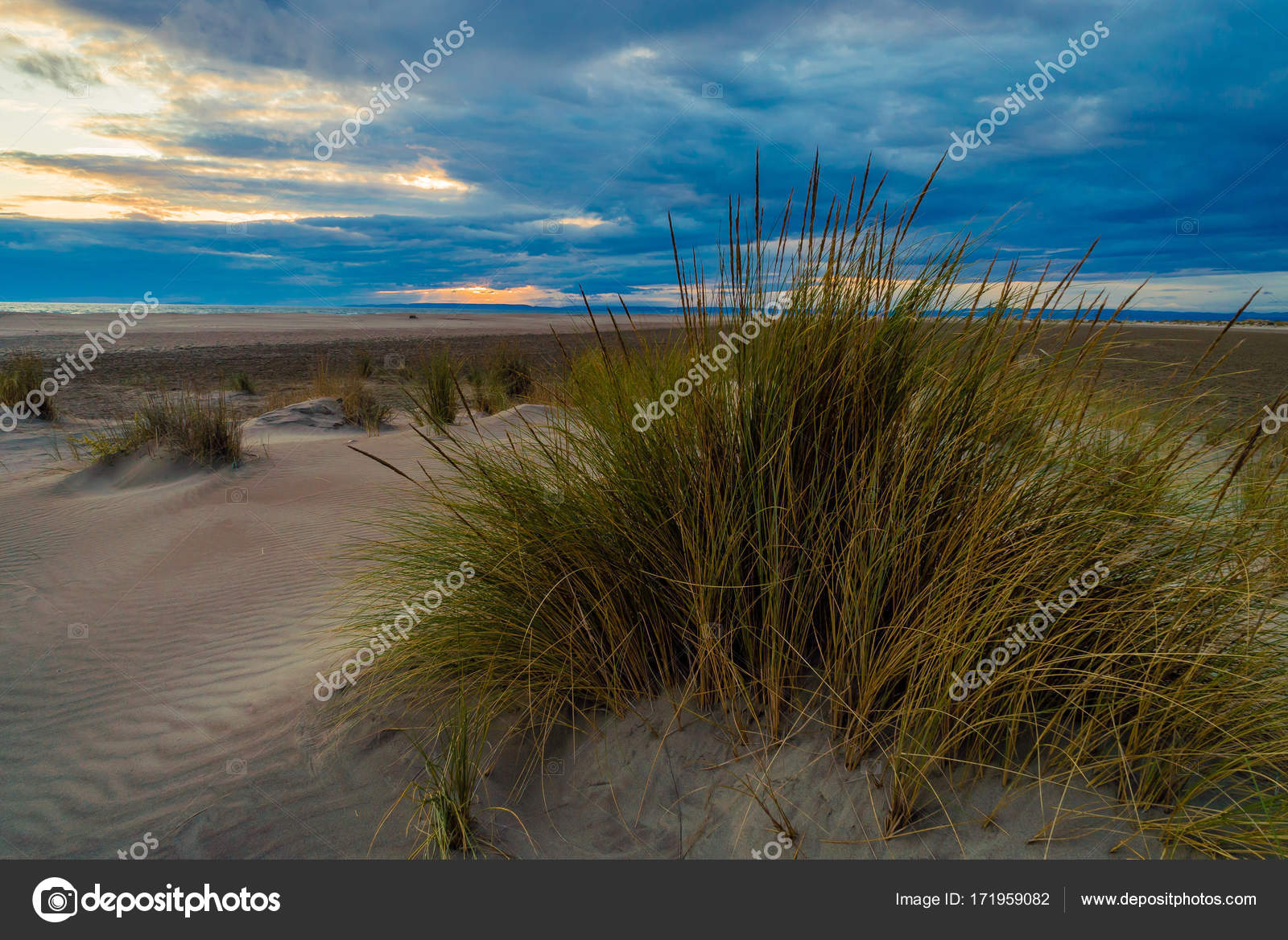 Plage De Lespiguette En France Photographie Bignoub