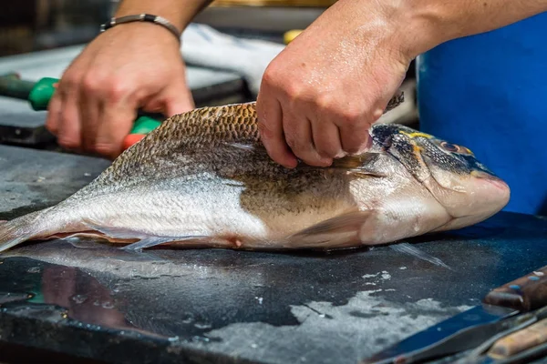 Balıkçı açılış balık